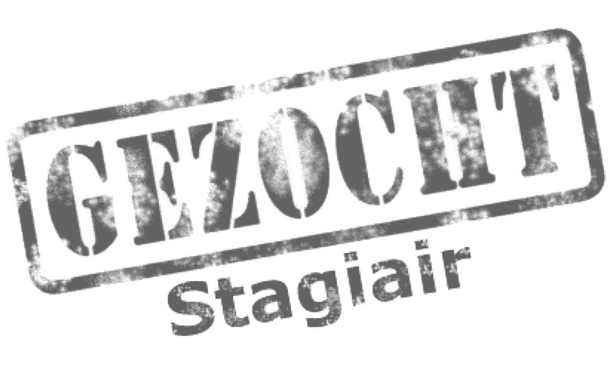 Stagiair of stagiaire gezocht - Evenementenindustrie